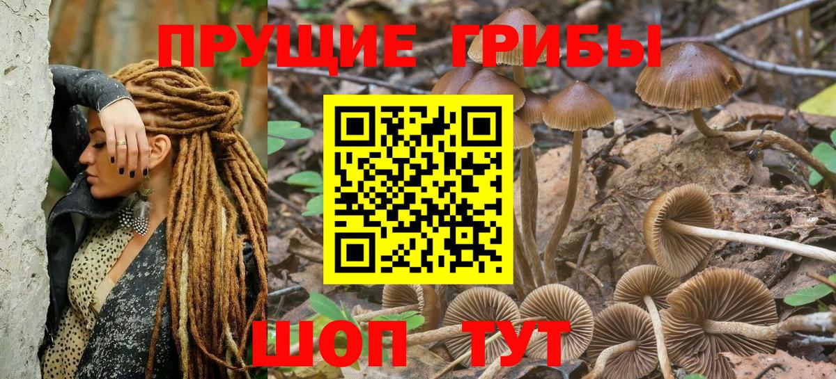 Псилоцибиновые грибы Psilocybine cubensis  Вход с VPN  закладка  Надым 